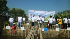 Pemkab Pemalang Tanam 3.000 Mangrove di Pesisir Ulujami, Bupati: Wujud Nyata Peduli Lingkungan