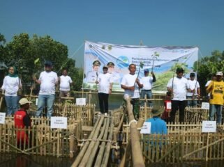 Pemkab Pemalang Tanam 3.000 Mangrove di Pesisir Ulujami, Bupati: Wujud Nyata Peduli Lingkungan