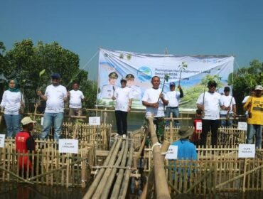 Pemkab Pemalang Tanam 3.000 Mangrove di Pesisir Ulujami, Bupati: Wujud Nyata Peduli Lingkungan