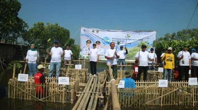 
					Pemkab Pemalang Tanam 3.000 Mangrove di Pesisir Ulujami, Bupati: Wujud Nyata Peduli Lingkungan